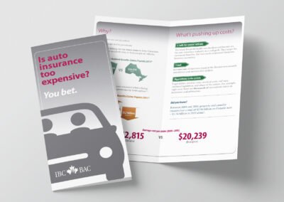 Graphic design - Car insurance pamphlet